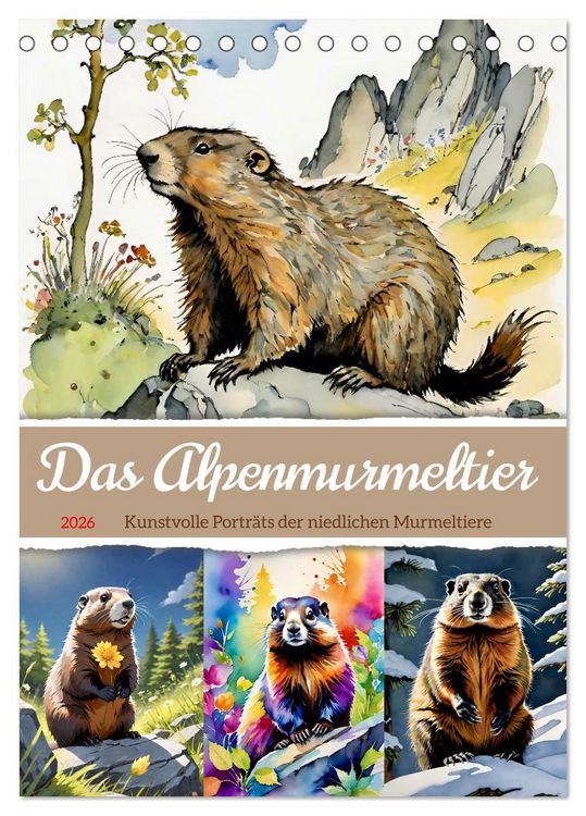 Produktbild: Das Alpenmurmeltier (Tischkalender 2026 DIN A5 hoch), CALVENDO Monatskalender