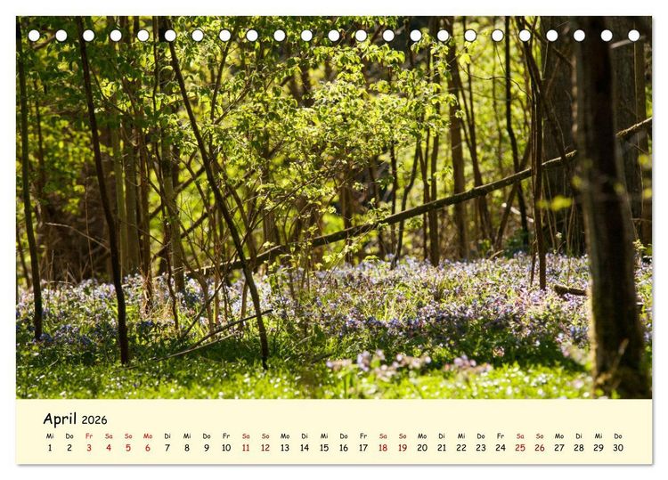 Produktbild: M&uuml;ngstener Br&uuml;cke - Landschaft rund um Solingen (Tischkalender 2026 DIN A5 quer), CALVENDO Monatskalender