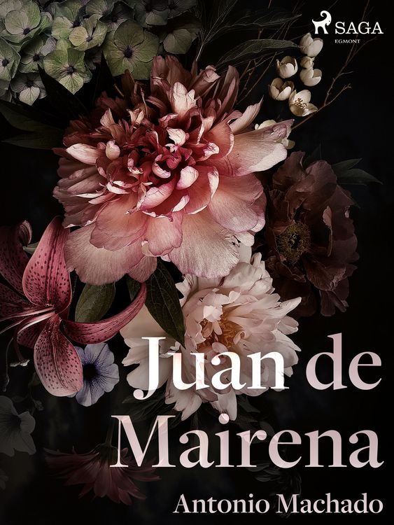 Produktbild: Juan de Mairena