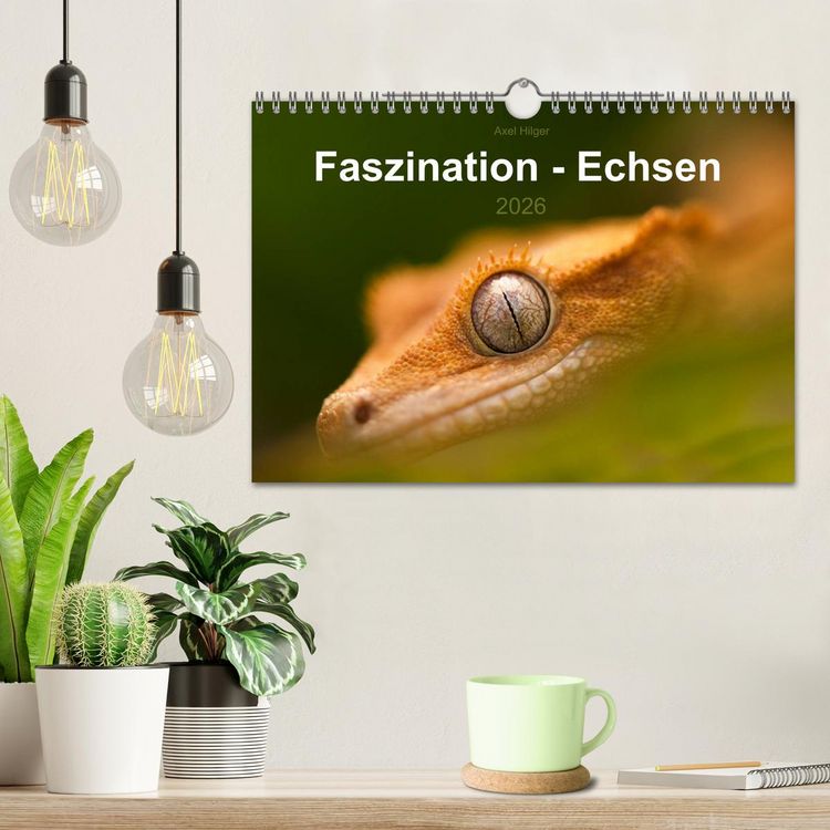Produktbild: Faszination - Echsen (Wandkalender 2026 DIN A4 quer), CALVENDO Monatskalender