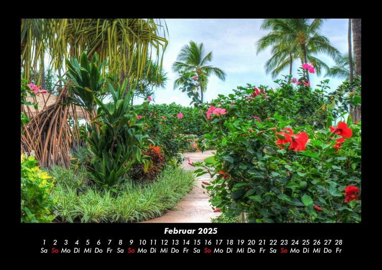 Produktbild: Pflanzen und Bl&uuml;ten 2025 Fotokalender DIN A3