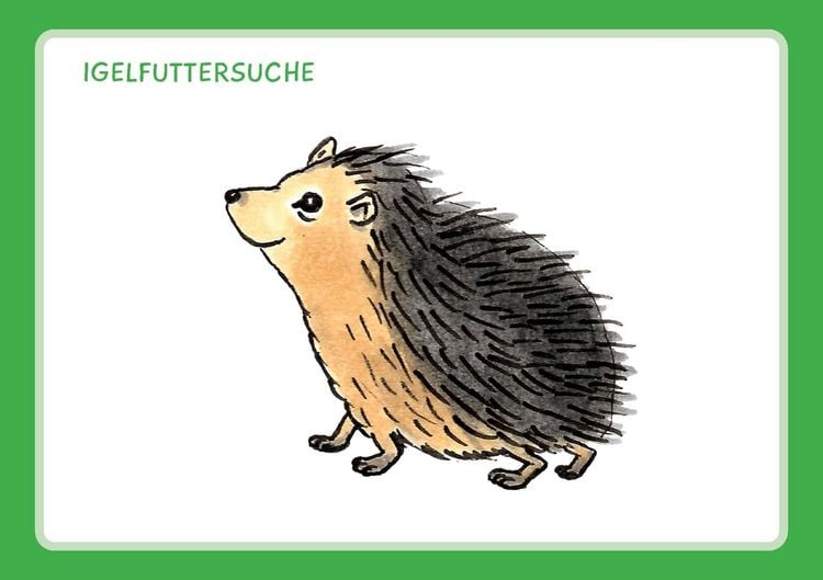 Produktbild: Wir watscheln, kriechen, plappern