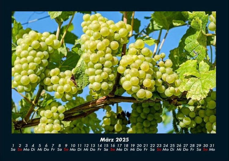 Produktbild: Obstkalender 2025 Fotokalender DIN A4