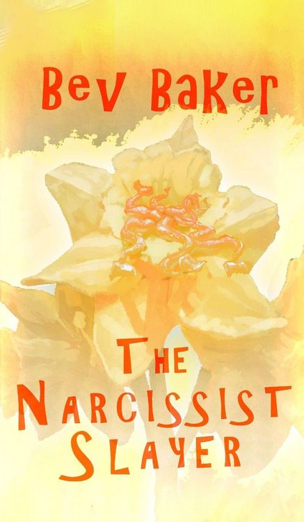 Produktbild: The Narcissist Slayer