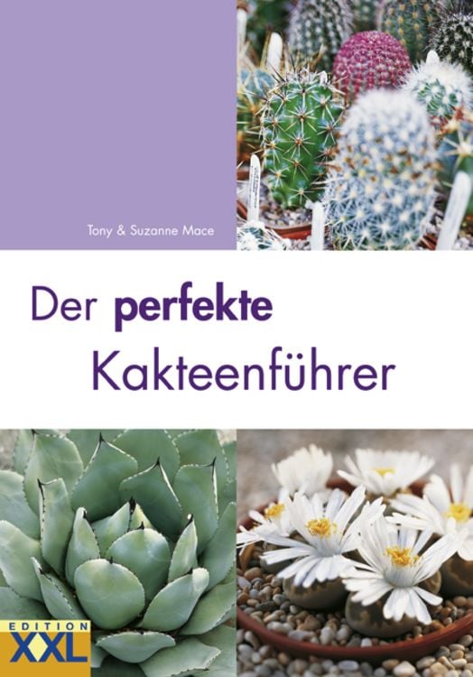 Produktbild: Der perfekte Kakteenf&uuml;hrer
