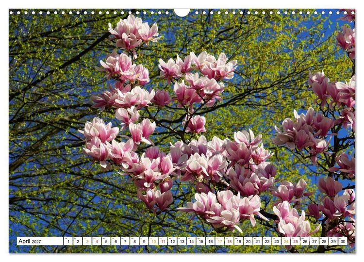 Produktbild: 12 Monate Natur (Wandkalender 2027 DIN A3 quer), CALVENDO Monatskalender