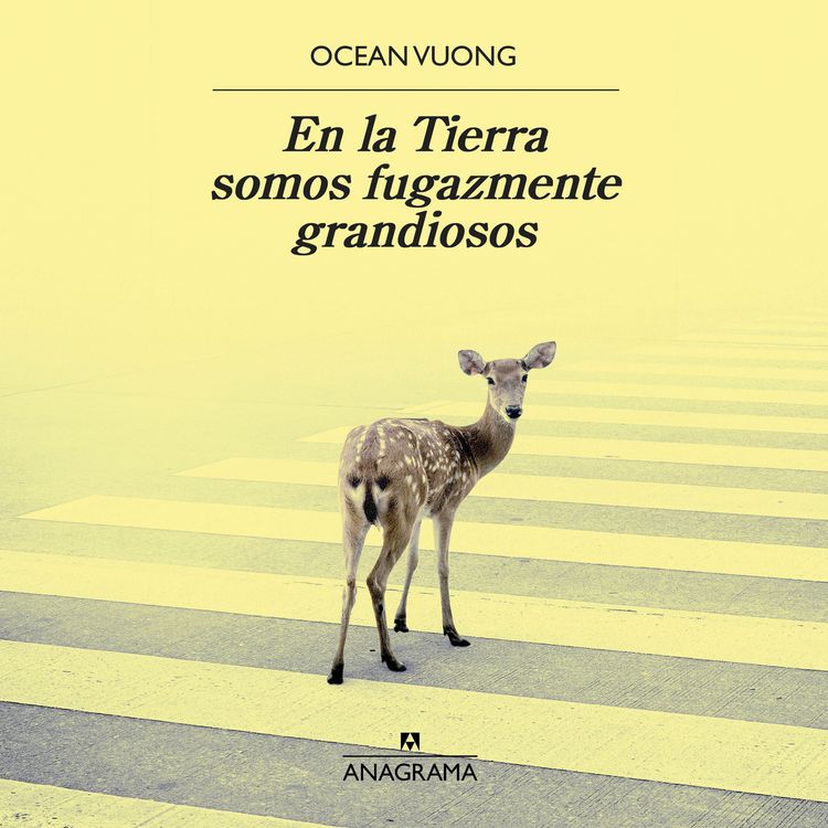 Produktbild: En la Tierra somos fugazmente grandiosos