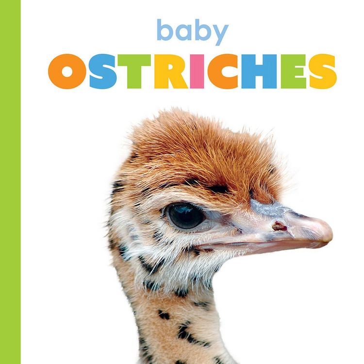 Produktbild: Baby Ostriches