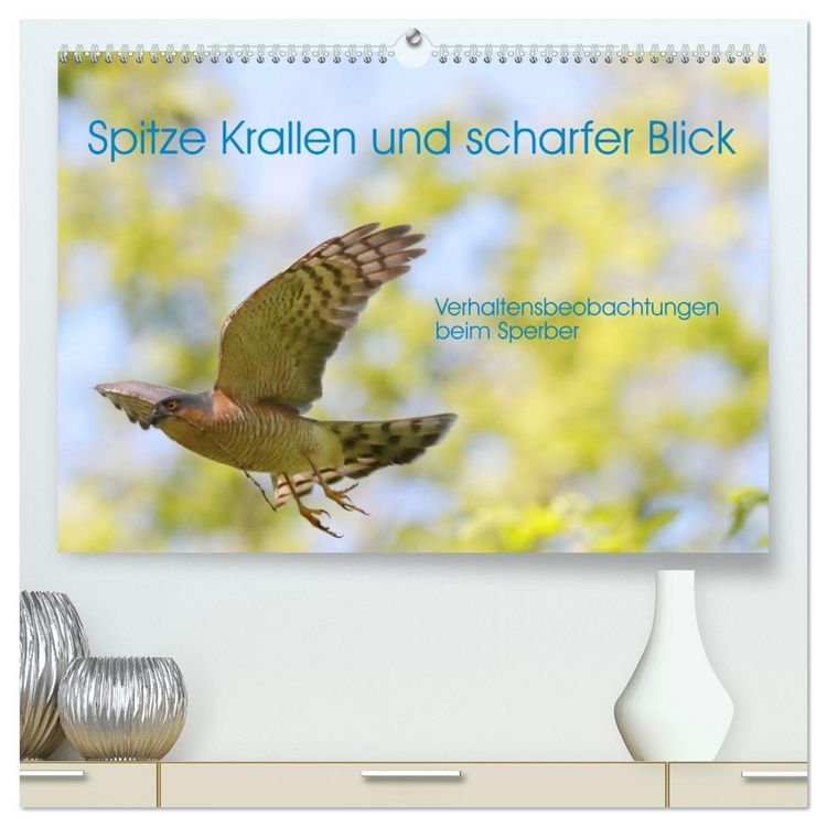 Produktbild: Spitze Krallen und scharfer Blick - Verhalten Sperber (hochwertiger Premium Wandkalender 2026 DIN A2 quer), Kunstdruck in Hochglanz