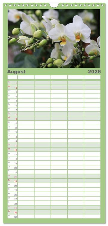 Produktbild: Familienplaner 2026 - Pr&auml;chtige Orchideen mit 5 Spalten (Wandkalender, 21 x 45 cm) CALVENDO
