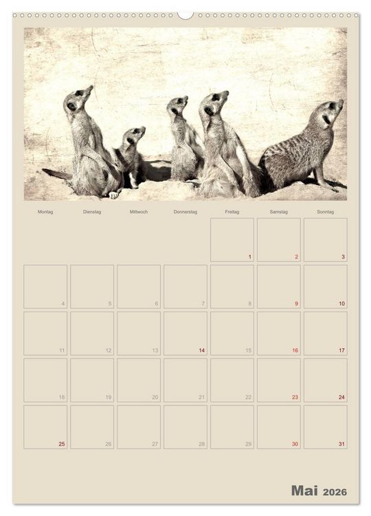 Produktbild: Lustige Erdm&auml;nnchen (Wandkalender 2026 DIN A2 hoch), CALVENDO Monatskalender