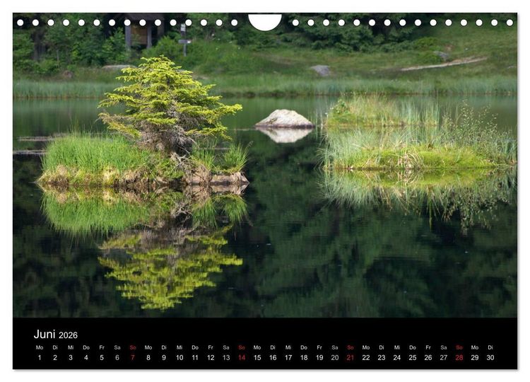 Produktbild: Bayerischer Wald - der Osten Bayerns (Wandkalender 2026 DIN A4 quer), CALVENDO Monatskalender