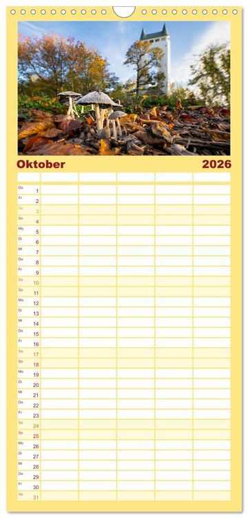 Produktbild: Familienplaner 2026 - Fantastische Pilzwelten mit 5 Spalten (Wandkalender, 21 x 45 cm) CALVENDO