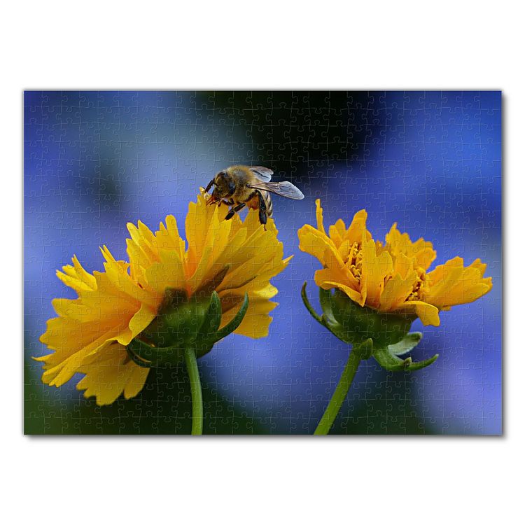 Produktbild: Lais Puzzle Biene und Sonnenblume 500 Teile