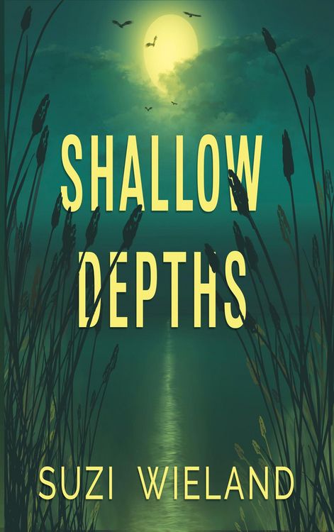 Produktbild: Shallow Depths