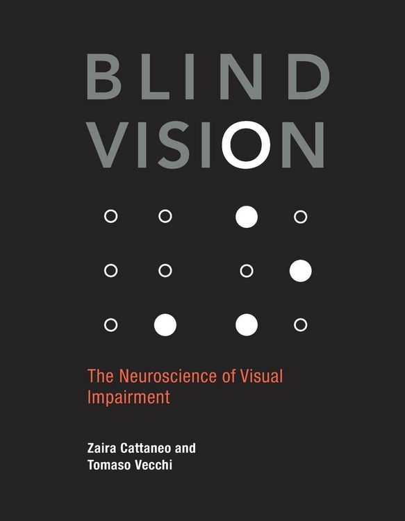 Produktbild: Blind Vision