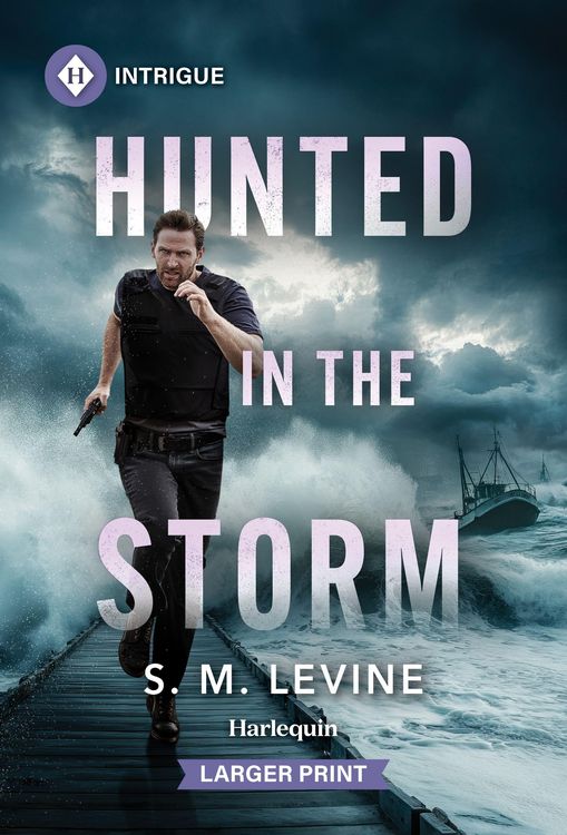 Produktbild: Hunted in the Storm