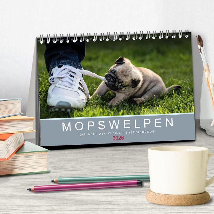 Produktbild: Mopswelpen (Tischkalender 2026 DIN A5 quer), CALVENDO Monatskalender