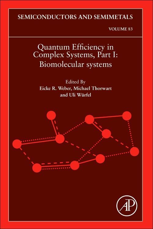 Produktbild: Quantum Efficiency in Complex Systems, Part I