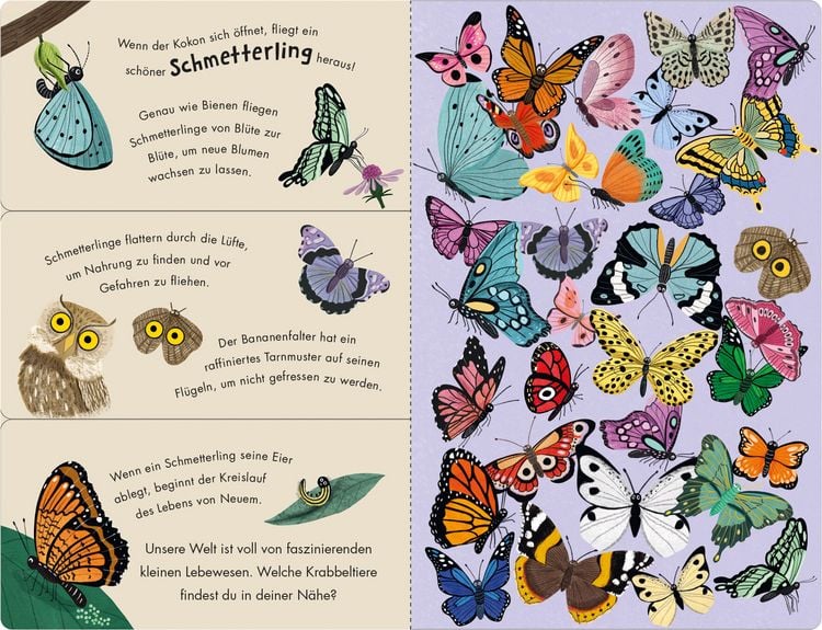 Produktbild: Bienen & K&auml;fer &ndash; Ein Klipp-Klapp-Buch &uuml;ber Krabbeltiere