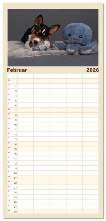 Produktbild: Familienplaner 2026 - Der Basenji mit 5 Spalten (Wandkalender, 21 x 45 cm) CALVENDO