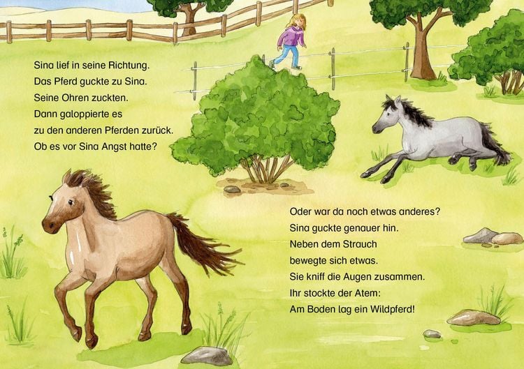 Produktbild: Lesel&ouml;wen 2. Klasse - Das verletzte Wildpferd