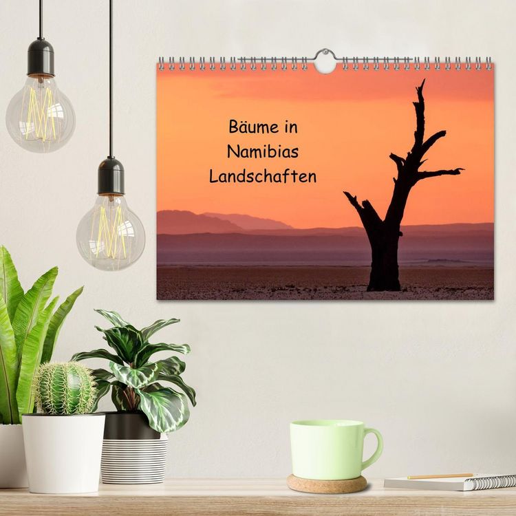 Produktbild: B&auml;ume in Namibias Landschaften (Wandkalender 2026 DIN A4 quer), CALVENDO Monatskalender
