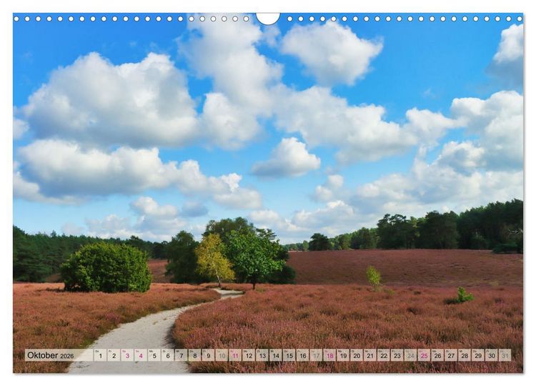 Produktbild: L&uuml;neburger S&uuml;dheide (Wandkalender 2026 DIN A3 quer), CALVENDO Monatskalender