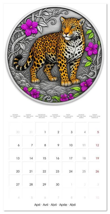 Produktbild: Silver Coin Big Cats (Wall Calendar 2026 12 &times; 12 Inch) CALVENDO 12 Month Wall Calendar