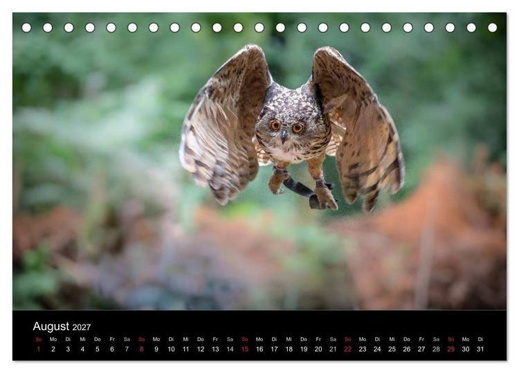 Produktbild: Sch&ouml;nheiten der L&uuml;fte - Greifv&ouml;gel (Tischkalender 2027 DIN A5 quer), CALVENDO Monatskalender