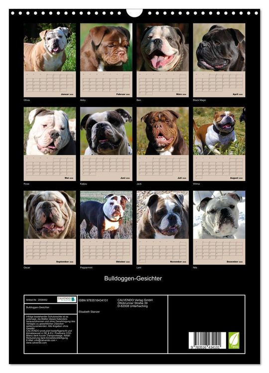 Produktbild: Bulldoggen-Gesichter (Wandkalender 2026 DIN A3 hoch), CALVENDO Monatskalender