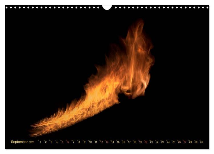 Produktbild: Feuerdrache (Wandkalender 2026 DIN A3 quer), CALVENDO Monatskalender