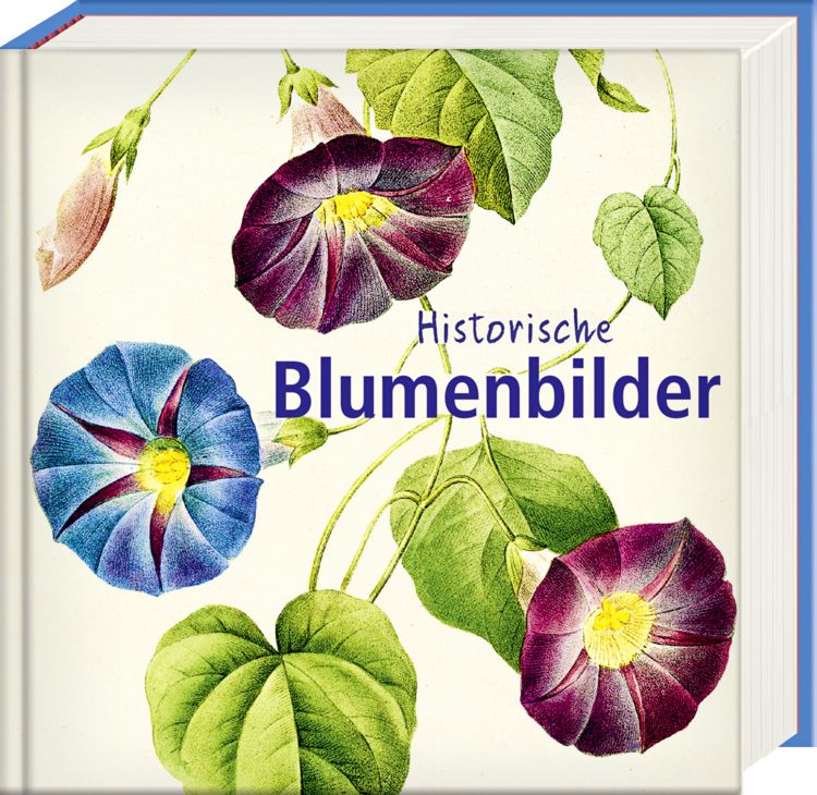 Produktbild: Historische Blumenbilder &ndash; Book To Go