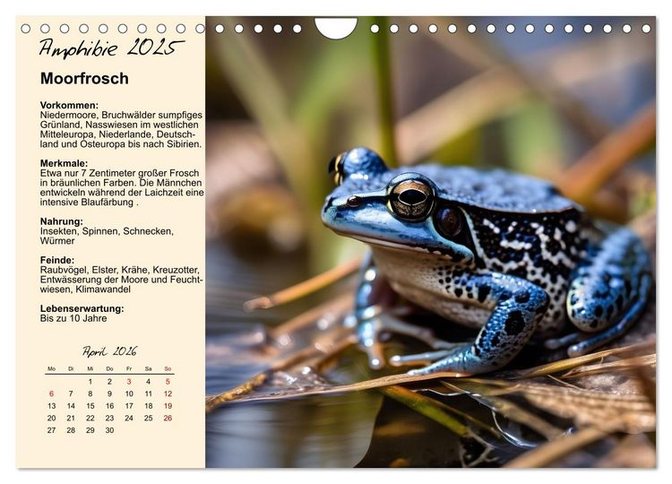 Produktbild: Wildtiere des Jahres (Wandkalender 2026 DIN A4 quer), CALVENDO Monatskalender