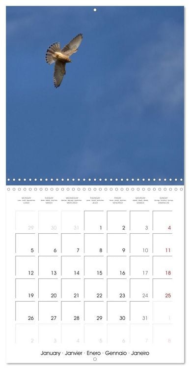 Produktbild: Deux &eacute;t&eacute;s en Vall&eacute;e d'Ossau (Calendrier mural carr&eacute; 2026 30x30 cm) Calendrier double avec une page pour vos prises de notes