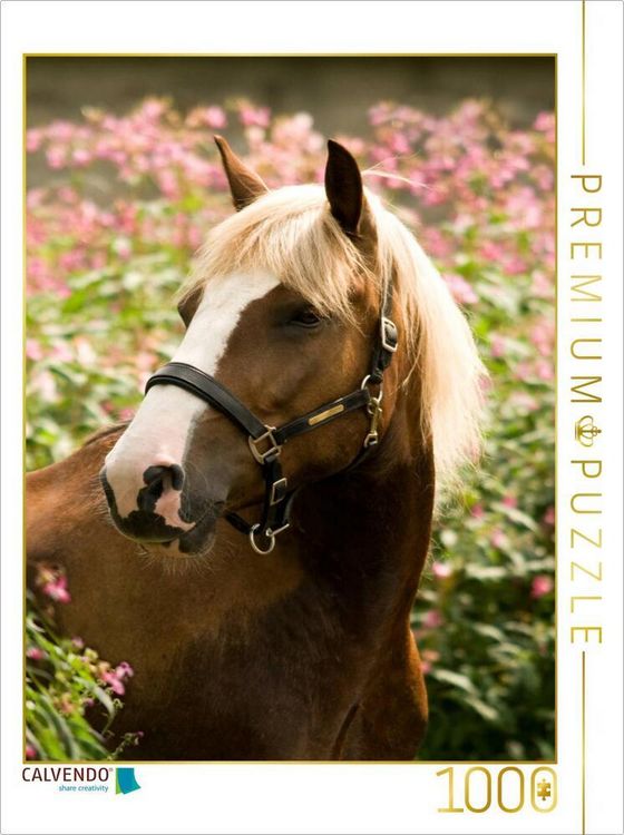 Produktbild: CALVENDO Puzzle Schwarzw&auml;lder Kaltblut Stute im Portrait | 1000 Teile Lege-Gr&ouml;&szlig;e 64x48cm Foto-Puzzle f&uuml;r gl&uuml;ckliche Stunden