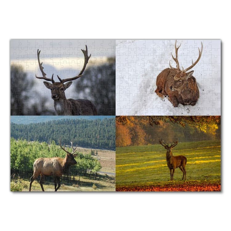 Produktbild: Lais Puzzle Collage Hirsch 500 Teile