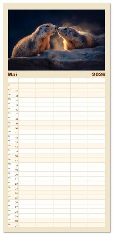 Produktbild: Familienplaner 2026 - Alpenpl&uuml;sch - Mit Murmeltieren durchs Jahr mit 5 Spalten (Wandkalender, 21 x 45 cm) CALVENDO