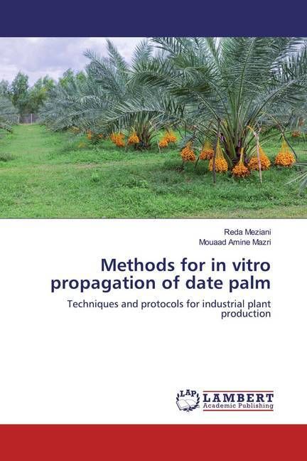 Produktbild: Mazri, M: Methods for in vitro propagation of date palm