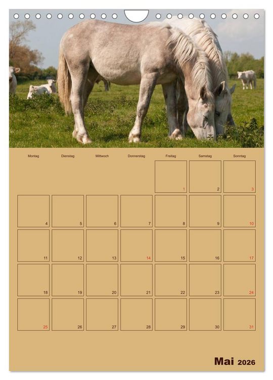 Produktbild: Pferde Gute Freunde (Wandkalender 2026 DIN A4 hoch), CALVENDO Monatskalender