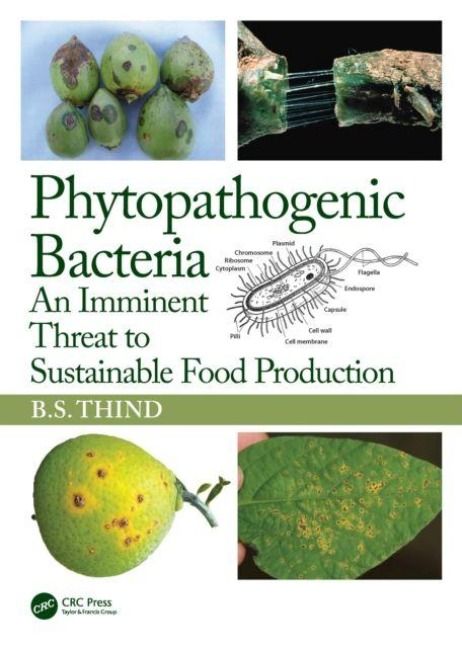 Produktbild: Phytopathogenic Bacteria