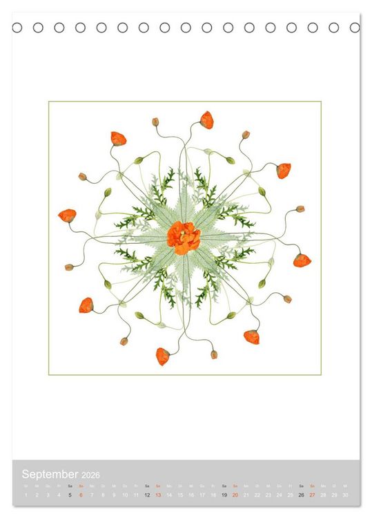 Produktbild: Pflanzen - Mandalas aus Bl&uuml;ten und Bl&auml;ttern (Tischkalender 2026 DIN A5 hoch), CALVENDO Monatskalender