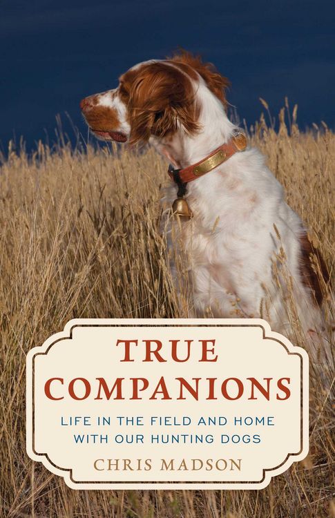Produktbild: True Companions