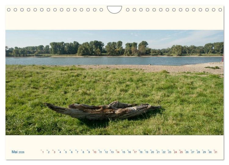 Produktbild: Am Rhein - Urdenbacher K&auml;mpe (Wandkalender 2026 DIN A4 quer), CALVENDO Monatskalender