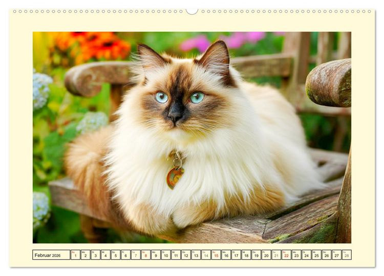 Produktbild: Liebliche Ragdolls. Katzen-Sch&ouml;nheiten in ihrer gr&uuml;nen Oase (hochwertiger Premium Wandkalender 2026 DIN A2 quer), Kunstdruck in Hochglanz