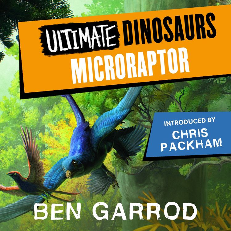 Produktbild: Microraptor
