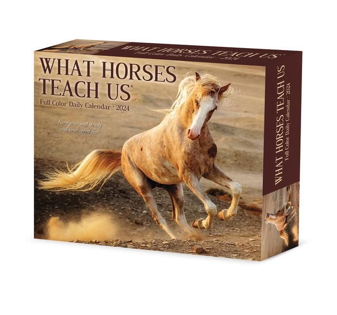 Produktbild: Willow Creek Press: What Horses Teach Us 2024 6.2 X 5.4 Box