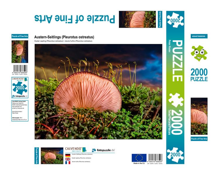 Produktbild: CALVENDO Puzzle Austern-Seitlings (Pleurotus ostreatus) 2000 Teile Lege-Gr&ouml;&szlig;e 900 x 670 cm Foto-Puzzle Bild von Peter Roder