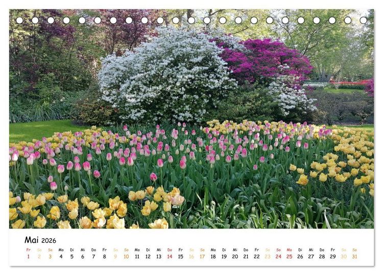Produktbild: Auf Tour im Land der Tulpen (Tischkalender 2026 DIN A5 quer), CALVENDO Monatskalender