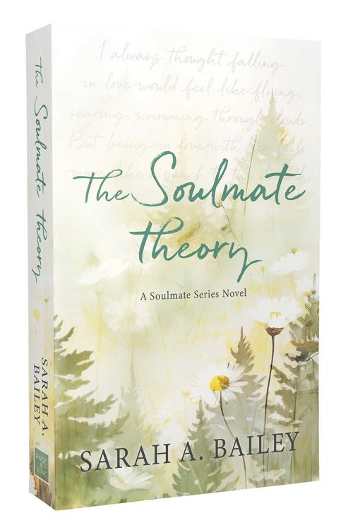Produktbild: The Soulmate Theory